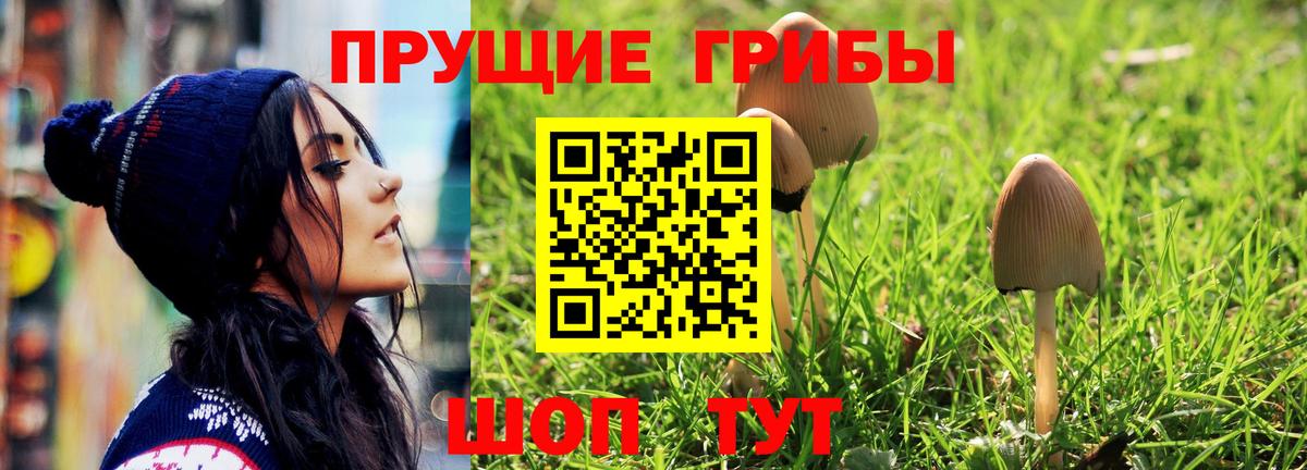 магазин  наркотиков  Вход с VPN  Сорочинск  Псилоцибиновые грибы мухоморы 